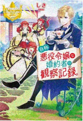 字幕影视资讯解析